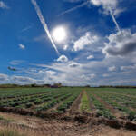 Miguelemele » Tomando tierra