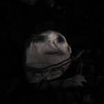 Mirados » Personaje