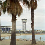 El diletant perplex &raquo; entre palmeres