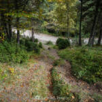 SantiMB Photos » Camino principal