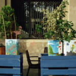 El diletant perplex &raquo; racons