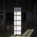 El diletant perplex &raquo; joc d’ombres