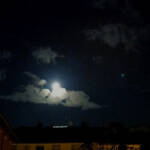 Generació...(imatges latents) &raquo; de matinada