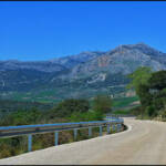 El divino paciente &raquo; De Aqui, de Alli, de Todas Partes