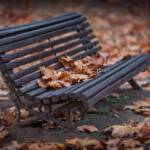 Martin Gallego &raquo; Absències