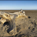 MinimalAbstract &raquo; El olvido que seremos