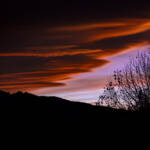 Martin Gallego » Les agudes del Montseny