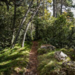 SantiMB Photos » La cima, quizás