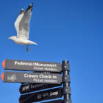 Momentos de un "instante" &raquo; New York (Statue of Liberty): The Flight