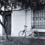 El diletant perplex &raquo; racons