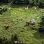SantiMB Photos » Història d’una X