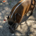 SantiMB Photos &raquo; El primo con estilo