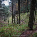 SantiMB Photos » Otro dilema