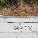 Muros Hablados &raquo; PALANTE