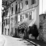 El diletant perplex &raquo; carrer assolellat