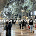 Dabnotu &raquo; Interim sect ions /