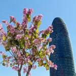 Lumen imago » Primavera urbana
