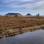 El diletant perplex &raquo; entre dues aigües