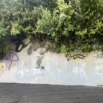 Muros Hablados » LLIURE!