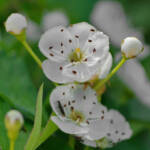 Miguelemele &raquo; Fuera de foco