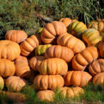 Miguelemele » Suspenso en amores