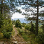 SantiMB Photos » Se abre el bosque