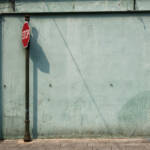 El diletant perplex » paret verda