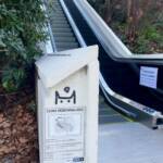 Muros Hablados &raquo; Vigilante gatuno