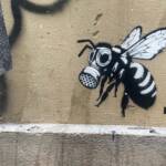 Muros Hablados &raquo; L’abeille du futur