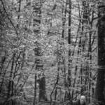 Martin Gallego &raquo; Àlex Alonso