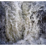 Transient Eye » August