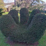 Lumen imago &raquo; Topiaria