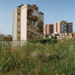 El diletant perplex &raquo; Ruralitat urbana
