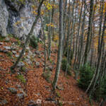 SantiMB Photos » Pared de roca