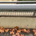 Muros Hablados &raquo; Gracias pa´ la música :)