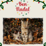 MinimalAbstract &raquo; Silent Night