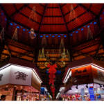 Transient Eye &raquo; New Year