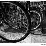 Clic clac foto! &raquo; BICIS DE BCN