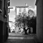 El diletant perplex &raquo; plaça de l’olivera