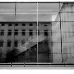 Clic clac foto! &raquo; REFLEXES