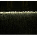 Clic clac foto! &raquo; BROMERA (AIGUA I LLUM 4/6)