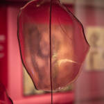 El diletant perplex &raquo; d’un sol color