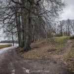 SantiMB Photos &raquo; Vatat Bijumi