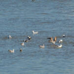 Miguelemele &raquo; Vuelos