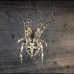 MinimalAbstract &raquo; The web