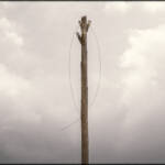 MinimalAbstract &raquo; Wireless