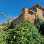 Miguelemele » Ruina sonora