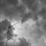 Momentos de un "instante" &raquo; Barcelona (Camp L´Arpa): The Bird