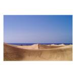 Vidas callejeras » Mar de Dunas