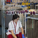 WorkPhoto » Banc de Sang i teixits